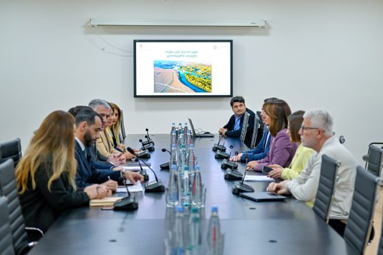 რუსთავში, ჭალის ტყის ეკოსისტემის აღდგენა იწყება