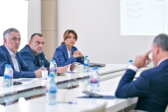 საქართველოს რეგიონული განვითარების სამინისტროში რუსთავის წყალმომარაგების თემაზე შეხვედრა გაიმართა