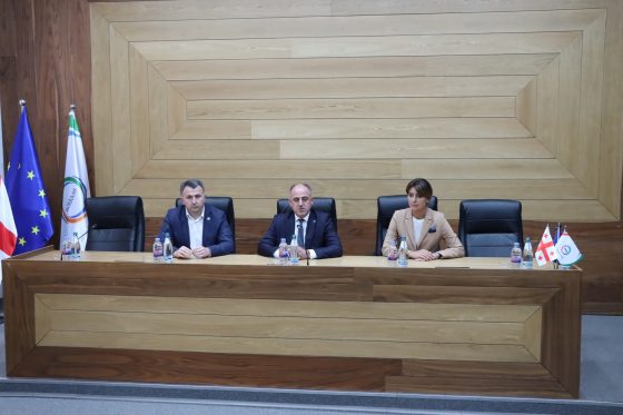 ნინო ლაცაბიძე: სემეკში გამართულ შეხვედრაზე, GWP-თან მკაცრად დავაყენეთ საკითხი, რომ რუსთავში არსებული გამოწვევების დასაძლევად, კიდევ უფრო მეტი პროექტის განხორციელება და სწრაფი ტემპია საჭირო