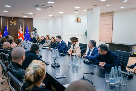 ნინო ლაცაბიძე: მოსახლეობის ჯანმრთელობაზე არ უნდა აისახოს არცერთი საწარმოს საქმიანობა, სწორედ ესაა ჩვენი მთავარი მიზანი და მოთხოვნა, რომელსაც საწარმოებს ვუყენებთ